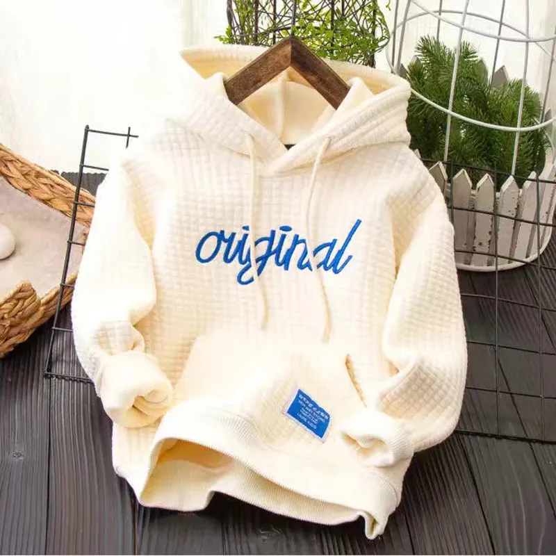 Boys Hoodies Sweatshirts Cotton Tops 2024 Warm Thicken Plus Velvet Winter Autumn Toddler Pullover Baby's Kids Children's T-shirt