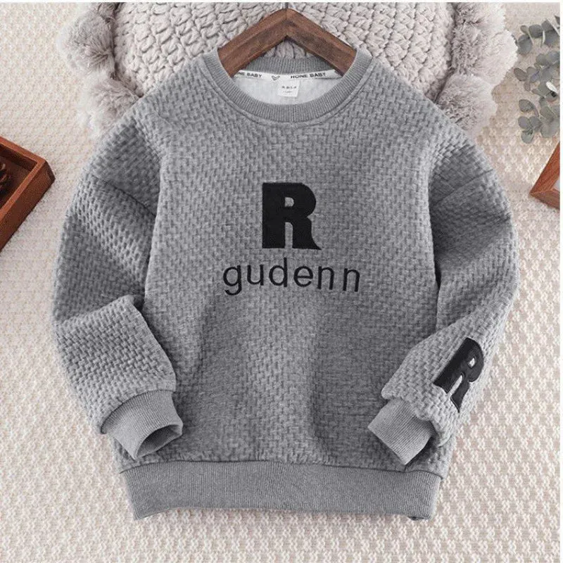 Boys Hoodies Sweatshirts Cotton Tops 2024 Warm Thicken Plus Velvet Winter Autumn Toddler Pullover Baby's Kids Children's T-shirt