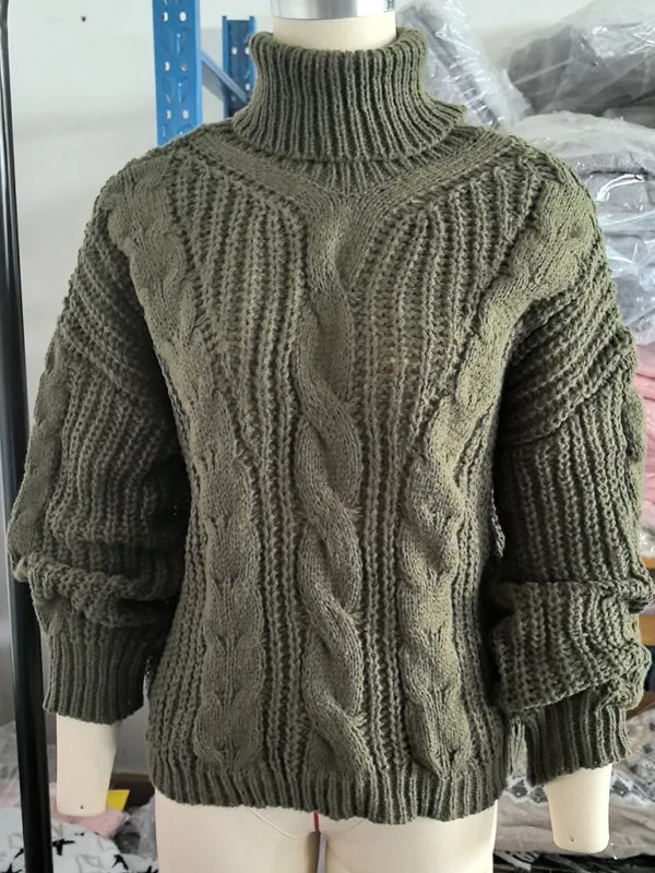 Casual Knitwear Mohair Turtleneck Sweater for Women