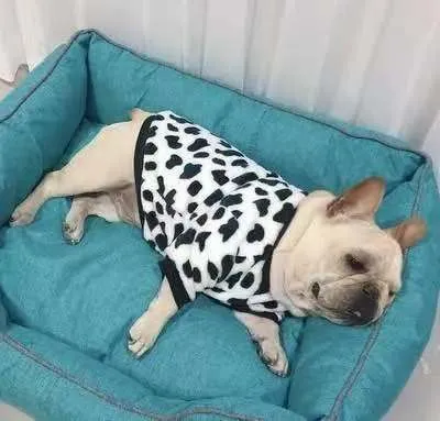 Fun Flannel Shirts for Small to Medium Dogs