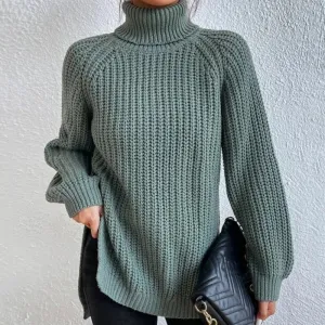 Knit Turtleneck Sweater